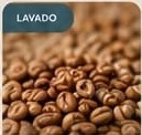 Granos de café lavado