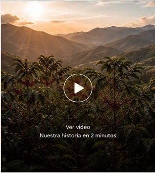 Paisaje montañoso de una finca cafetalera